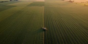 Vast agricultural fields at sunrise, symbolizing federal agricultural policy impact.